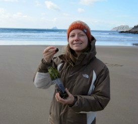 Kerry Beaches Skelligs Chocolate St Finian's Bay