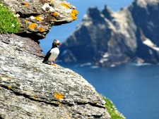 Skellig Michael